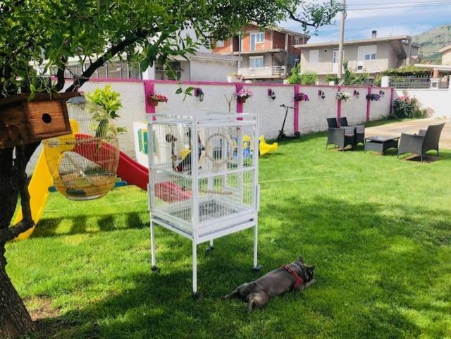 Apartman Mona Podgorica Exteriör bild