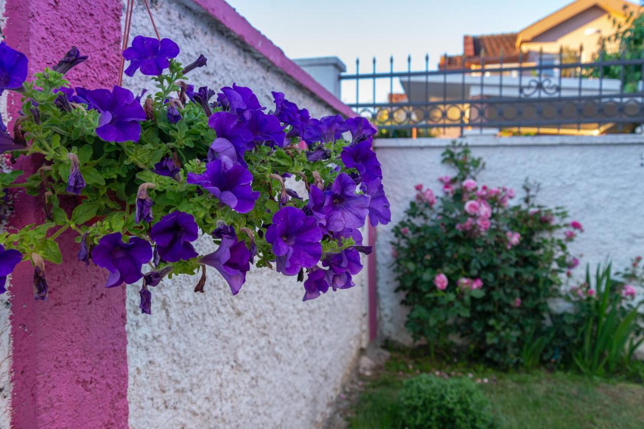 Apartman Mona Podgorica Exteriör bild
